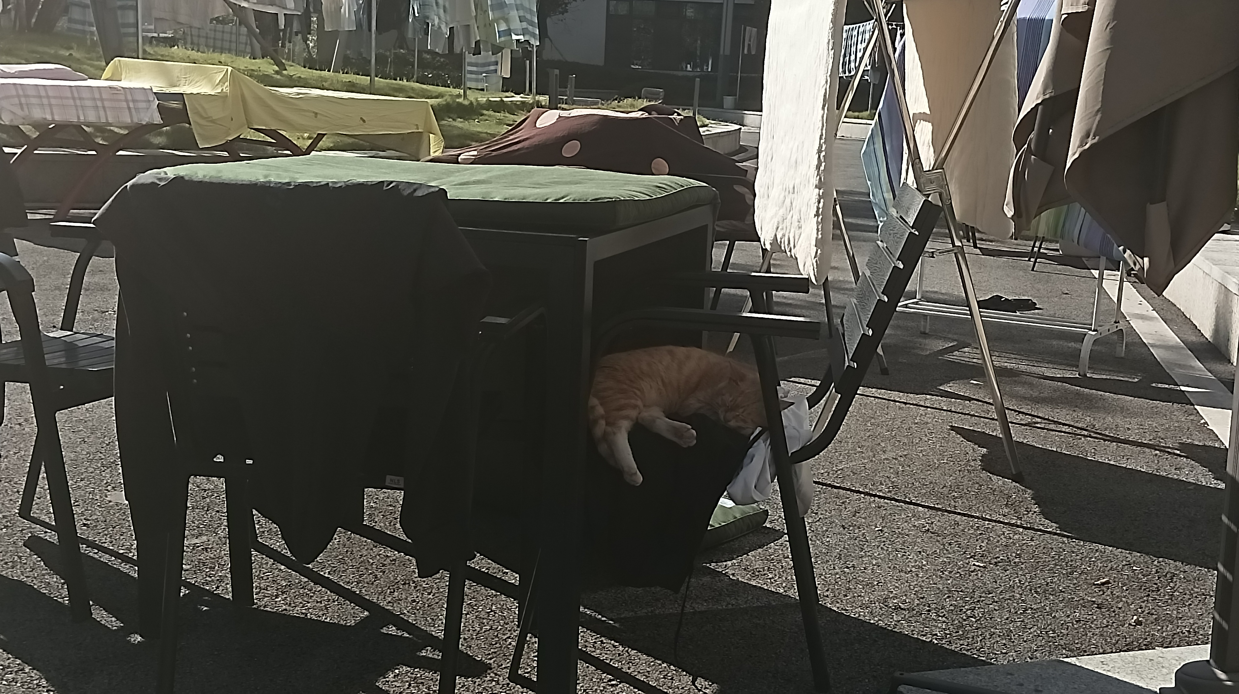 The cover picture of the next content